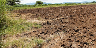 Agricultural Land for Sale