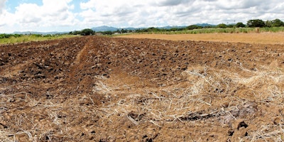 Agricultural Land for Sale