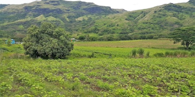 10.75 Acres Agricultural Land for Sale